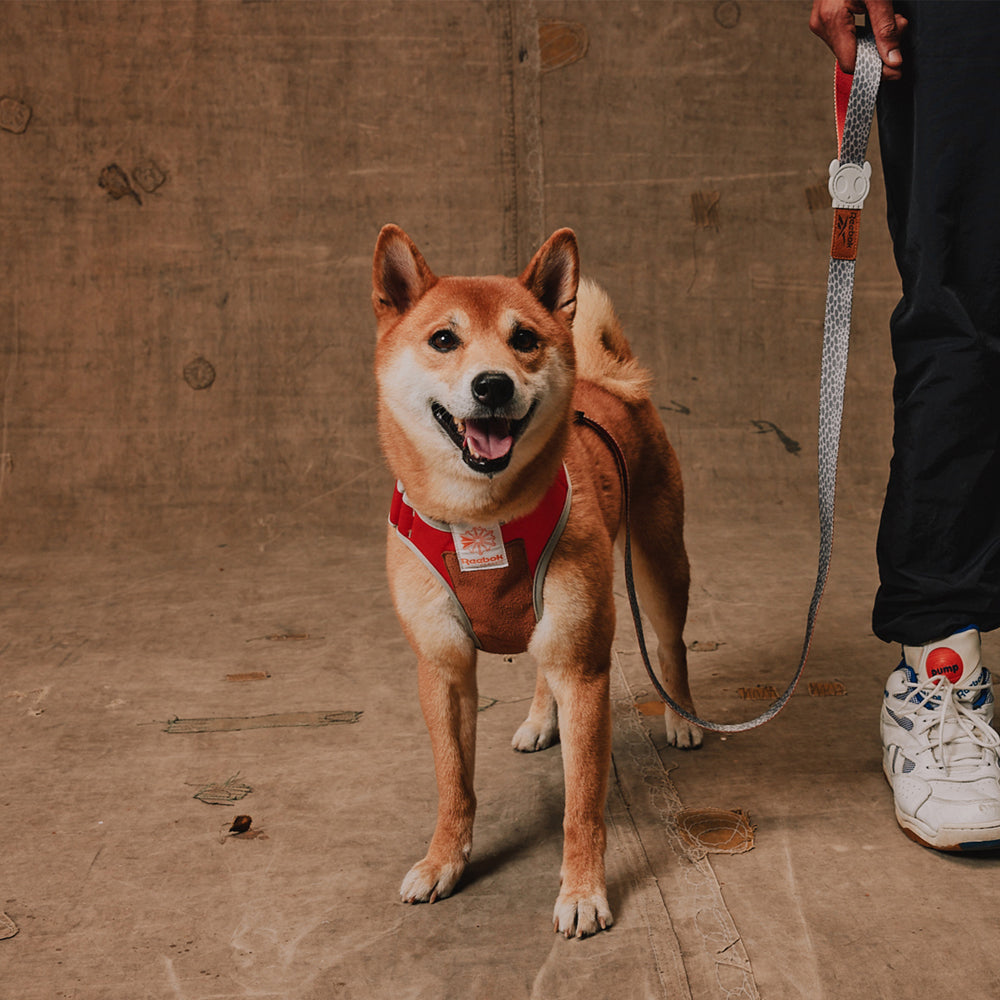 Reebok Suede Adjustable Air Mesh Harness