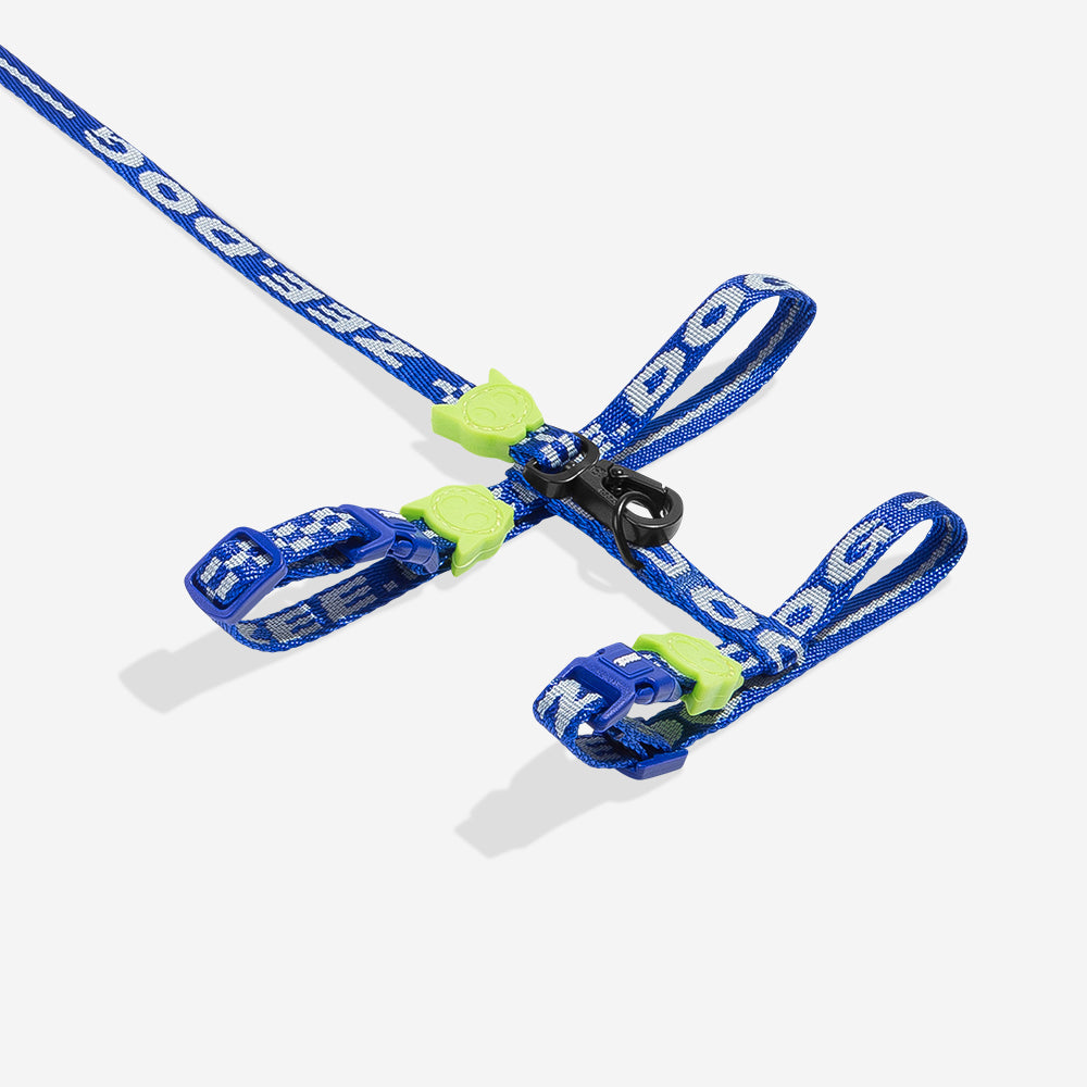 ASTRO HARNESS + LEASH SET