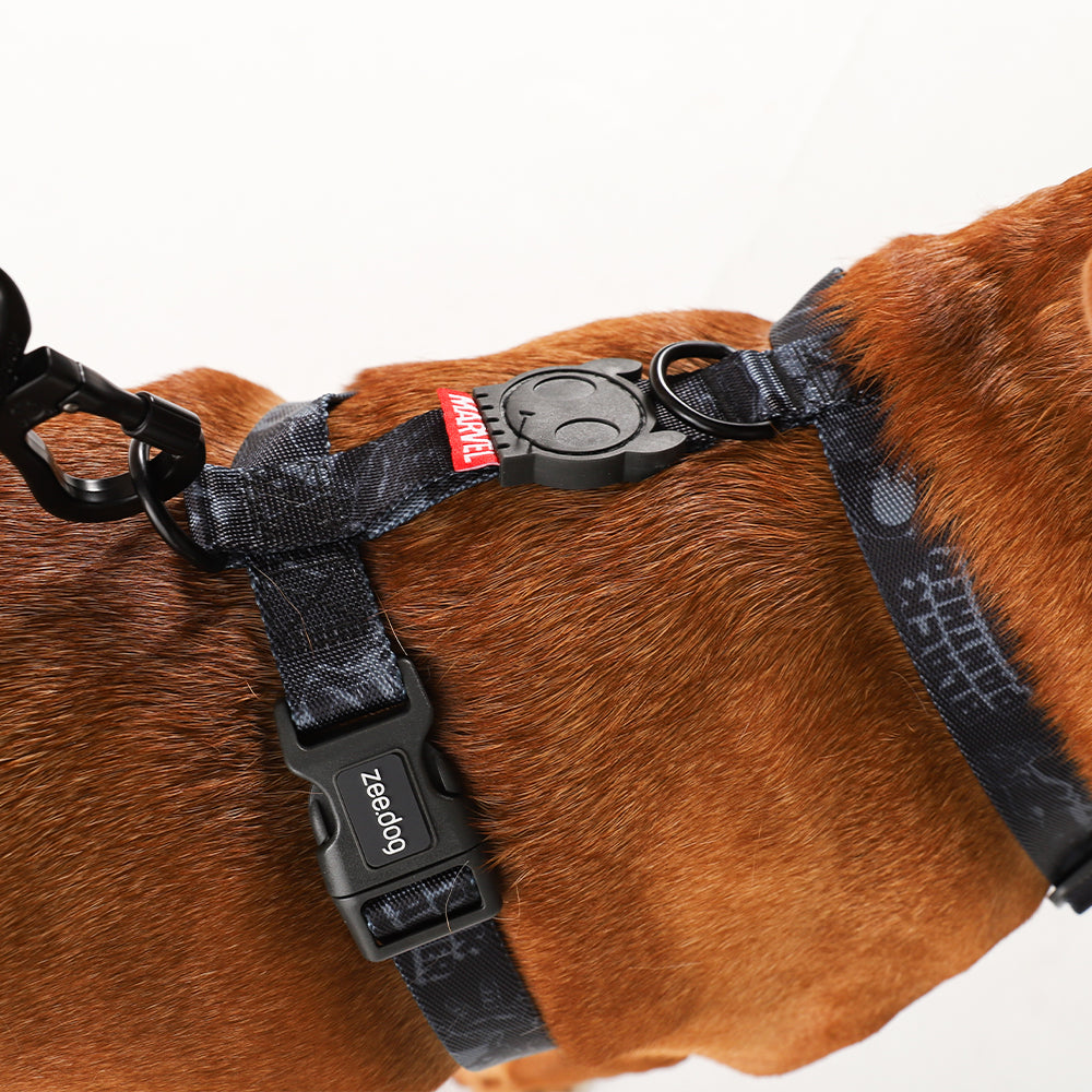 BLACK PANTHER H-HARNESS