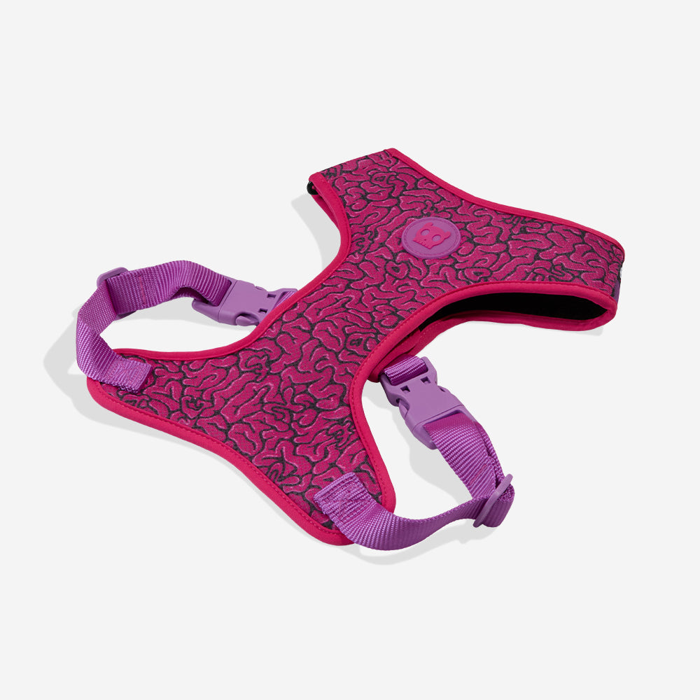 LORDS OF ZEE.TOWN BRAIN AIR MESH HARNESS