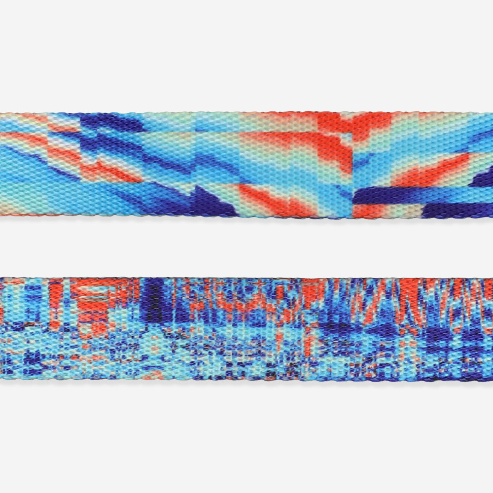 GLITCH ERROR #404 LEASH