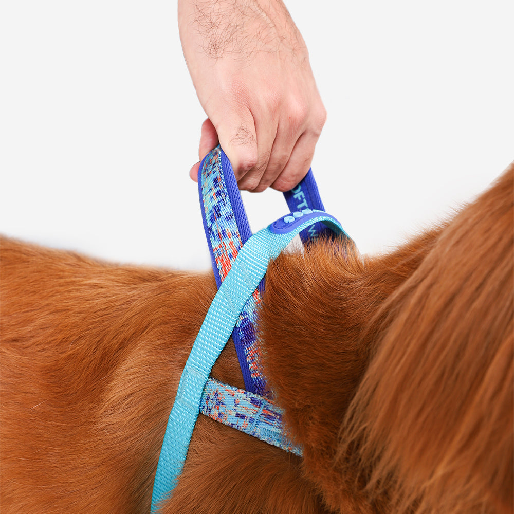 GLITCH ERROR #404 SOFTER WALK HARNESS