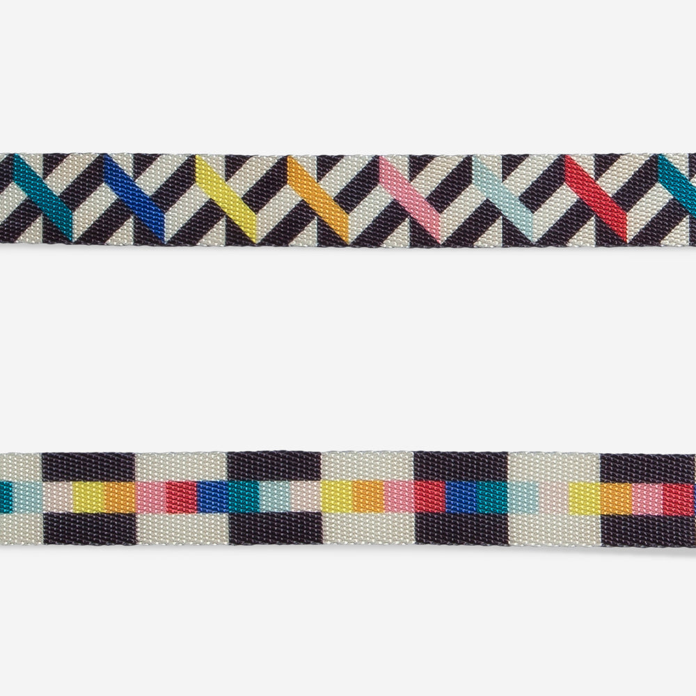 FRITZ LEASH