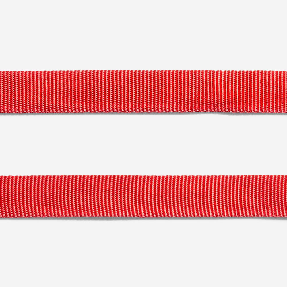 NEON CORAL LEASH
