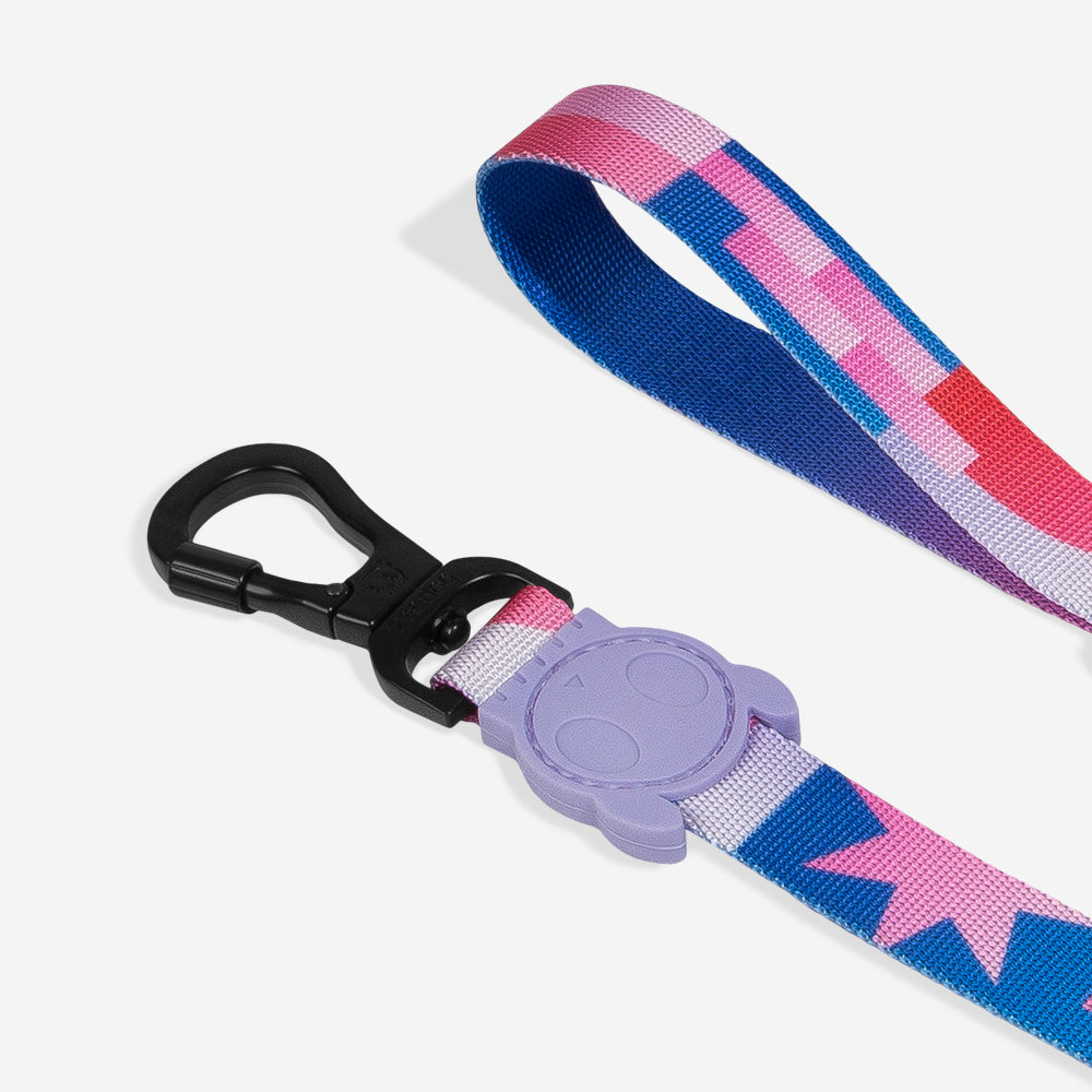 NOON LEASH