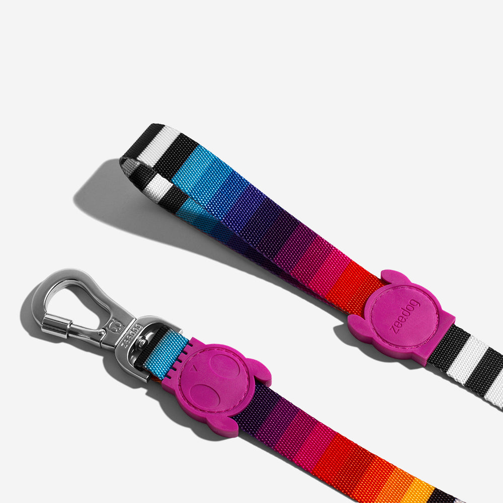 PRISMA LEASH