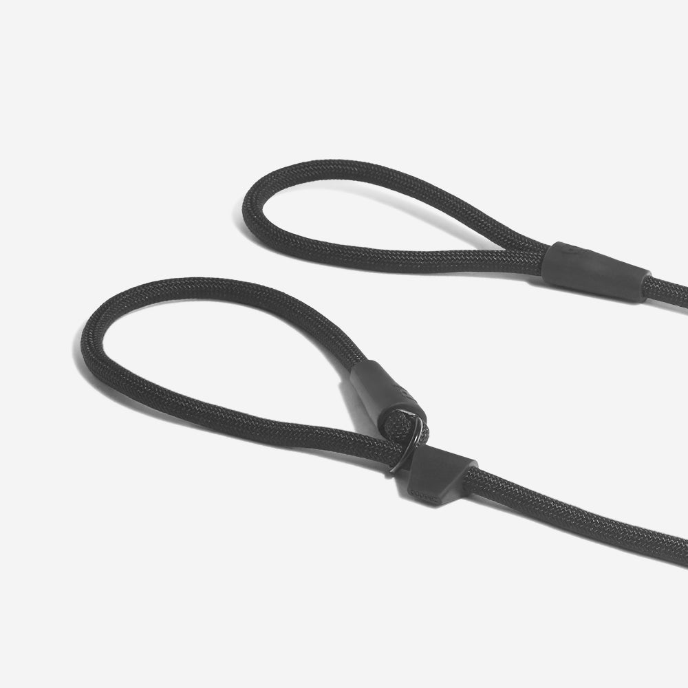 GOTHAM SLIP ON LEASH