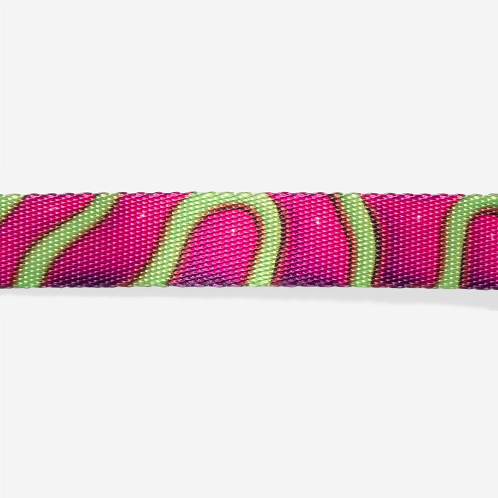 H3D JELLY COLLAR