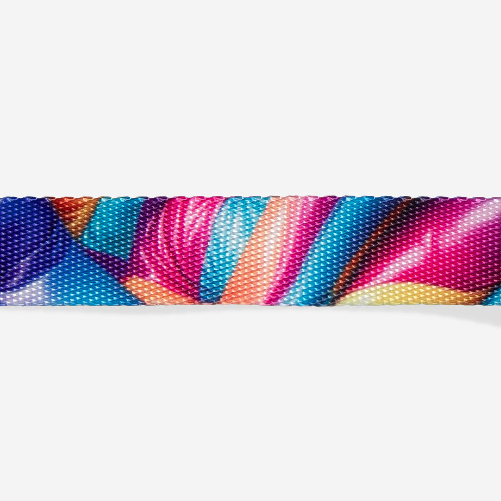 H3D BOUNCE CAT COLLAR