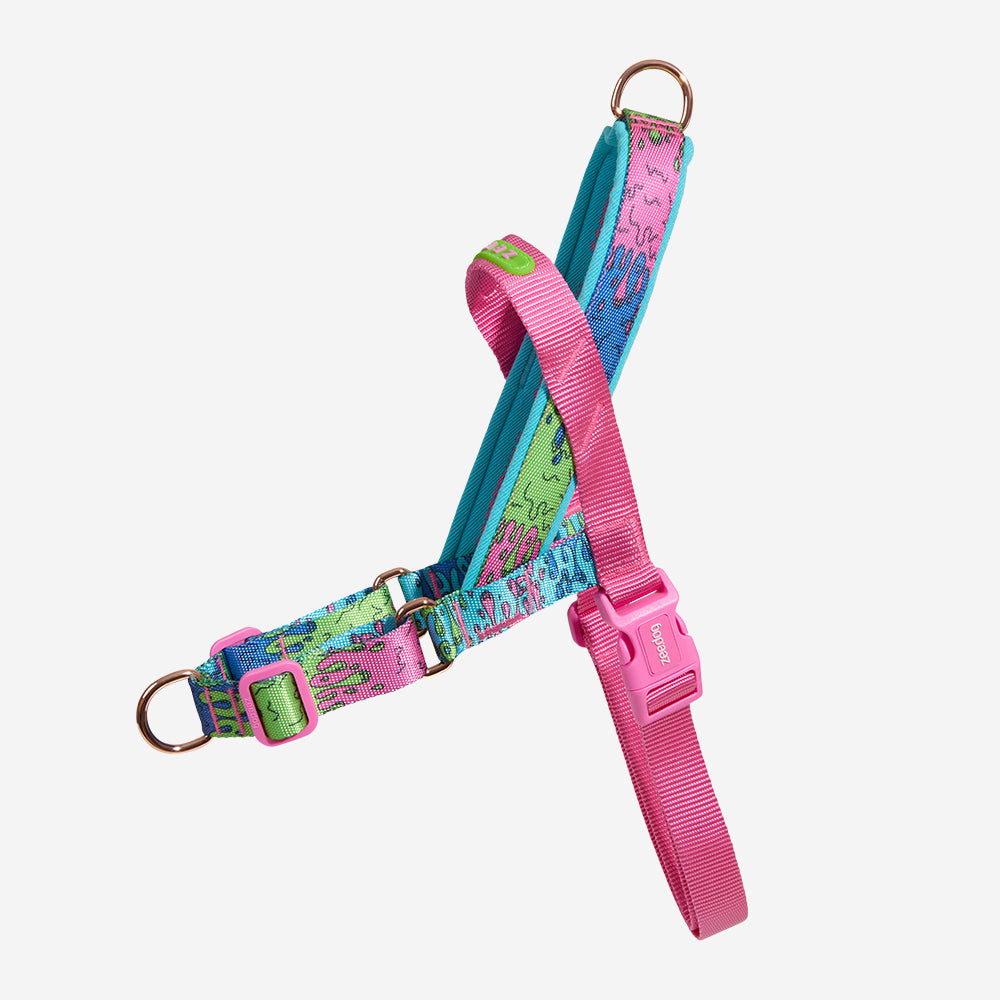 LORDS OF ZEE.TOWN MELTED SOFTER WALK HARNESS