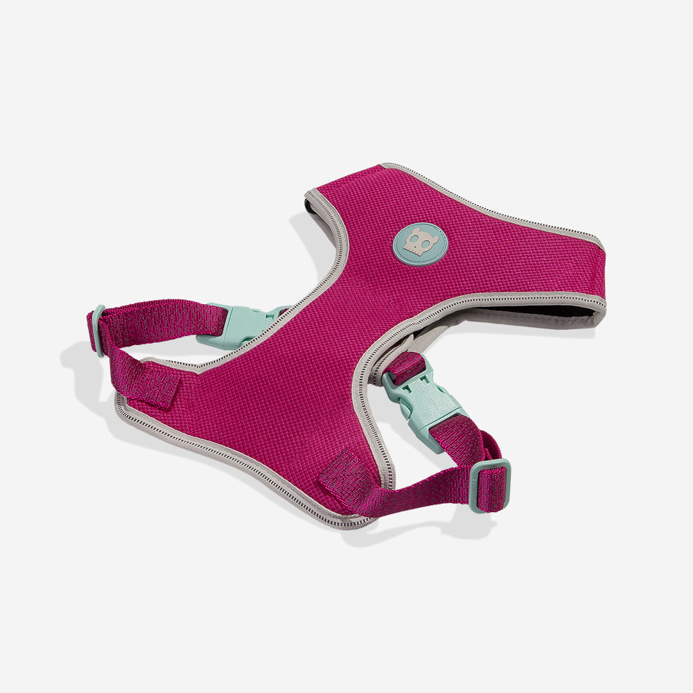 NOX SIDUS ADJUSTABLE AIR MESH HARNESS