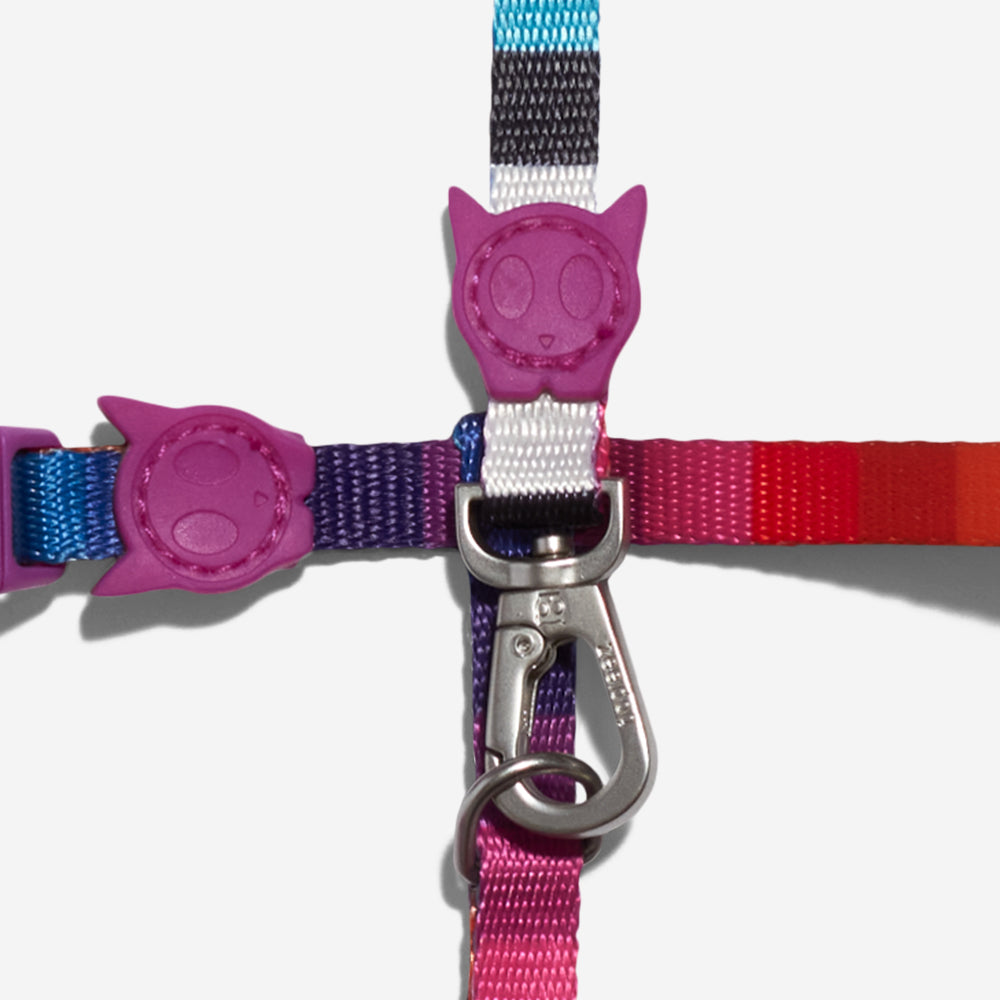 PRISMA HARNESS + LEASH SET