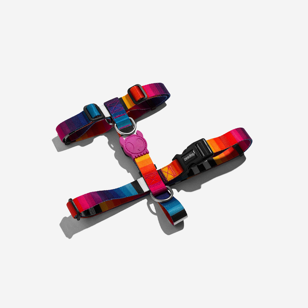 PRISMA H-HARNESS