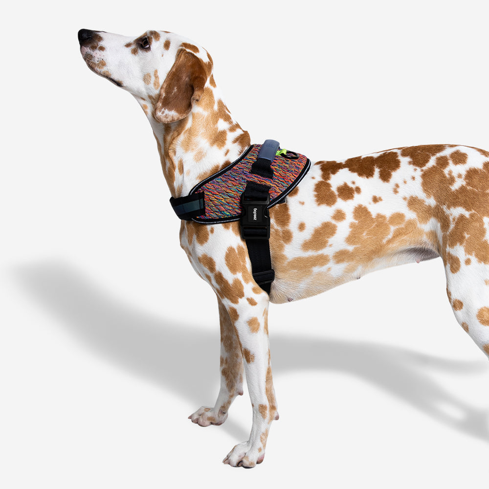 VORTEX FLYHARNESS