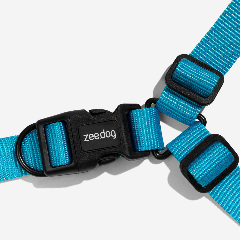 ULTIMATE BLUE SOFT-WALK