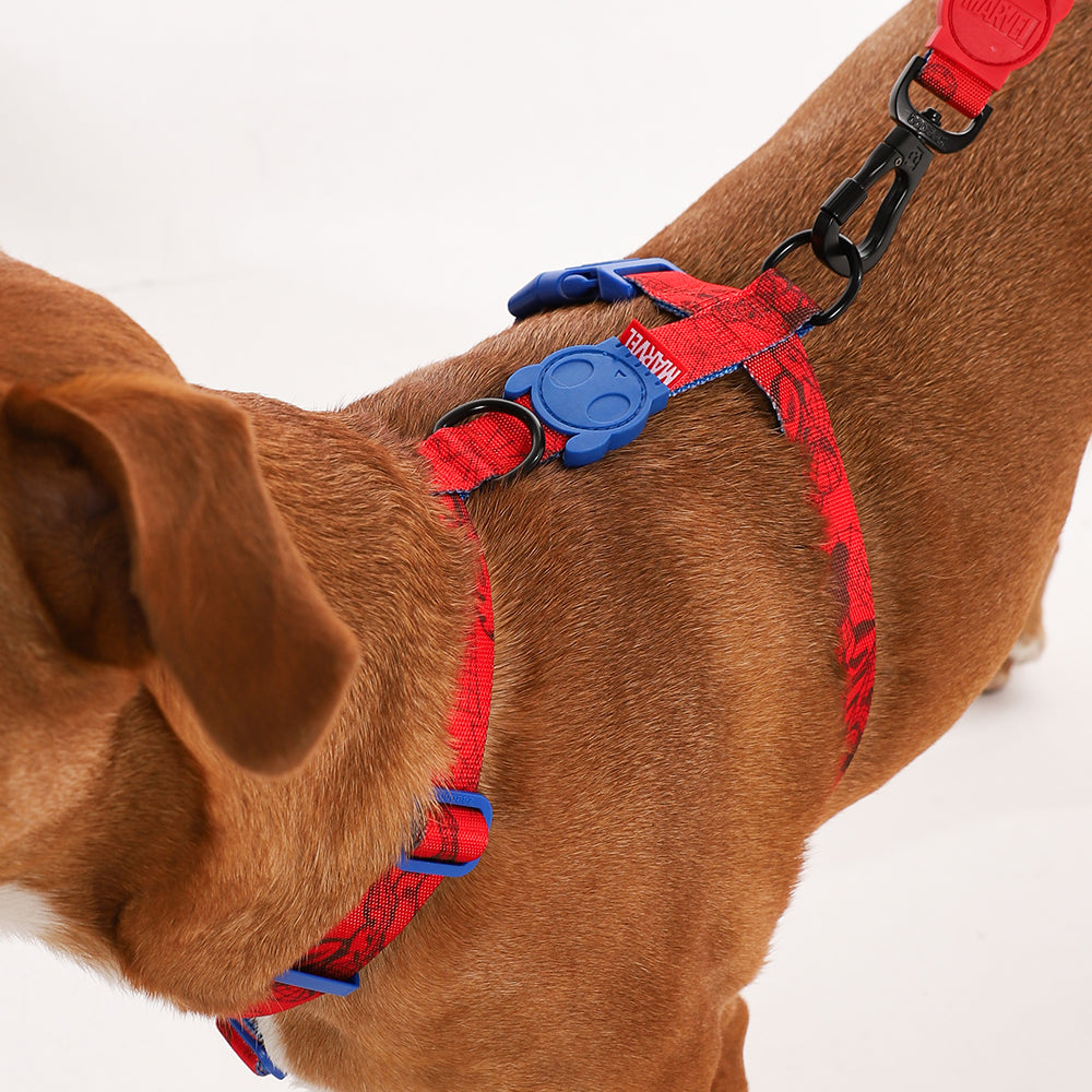 SPIDERMAN H-HARNESS