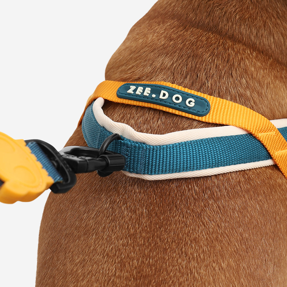 VOYAGE SOFTER WALK HARNESS