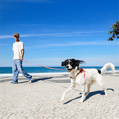 LONG LEASH DRAGO