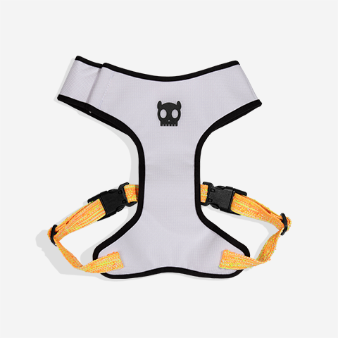 Fuse Bikr Adjustable Air Mesh Harness