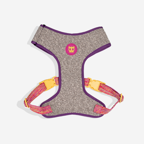 Fuse Chop Adjustable Air Mesh Harness