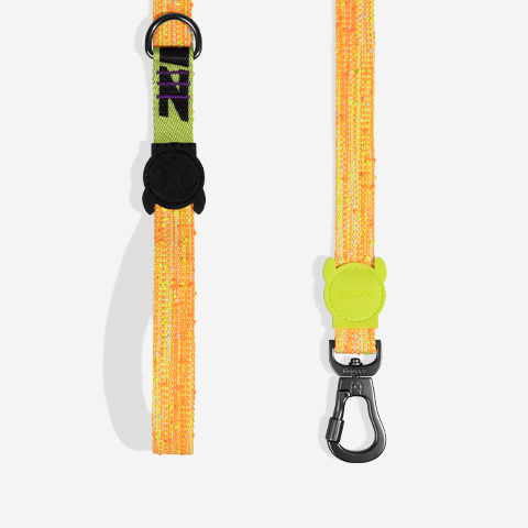 Fuse Bikr Leash