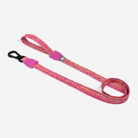 Fuse Chop Leash