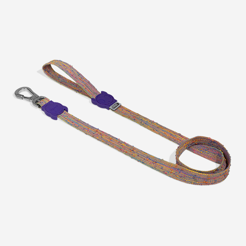Fuse UFO Leash