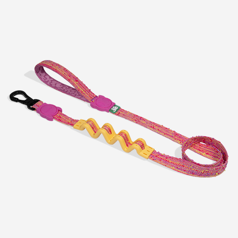 Fuse Chop Ruff Leash