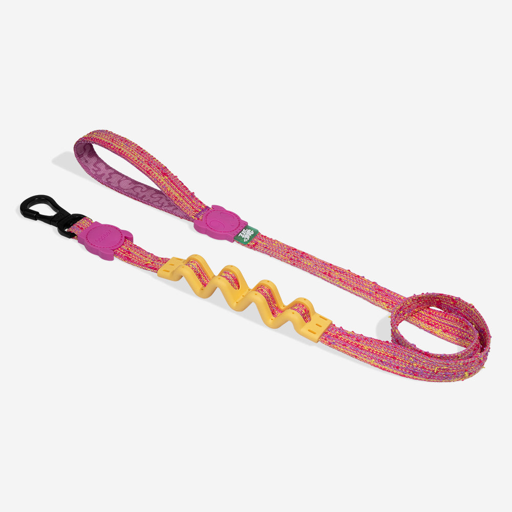 Fuse Chop Ruff Leash