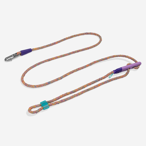 Fuse UFO Handsfree Leash