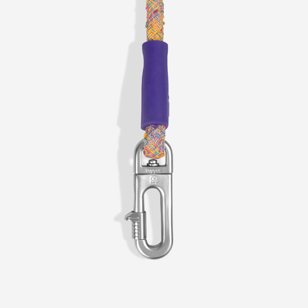 Fuse UFO Handsfree Leash