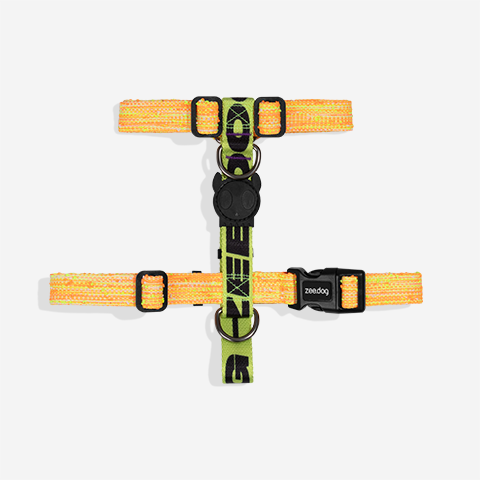Fuse Bikr H-Harness