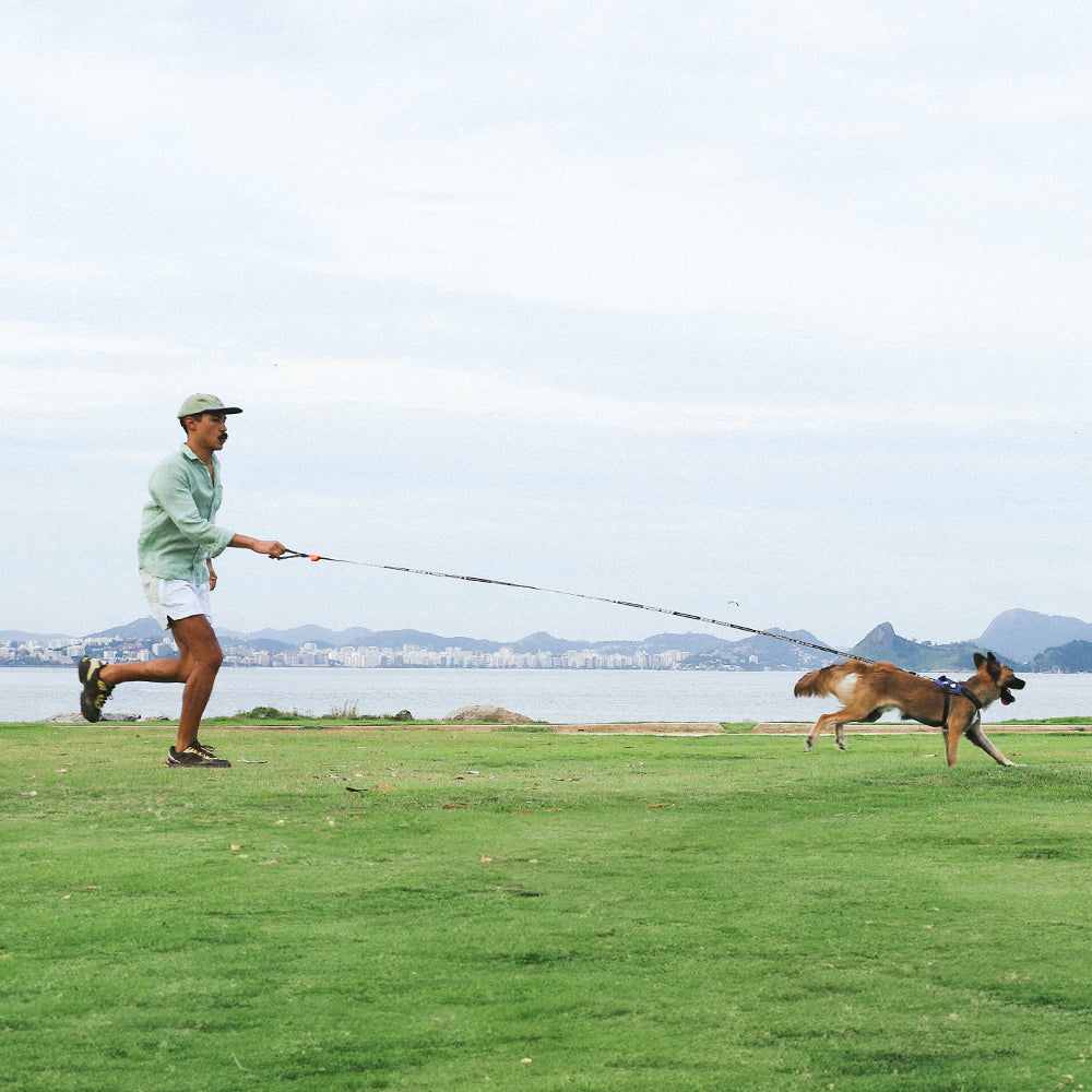 Long Leash Tres
