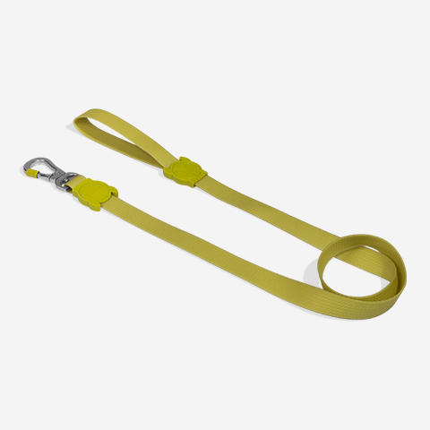 Neopro Matcha Leash