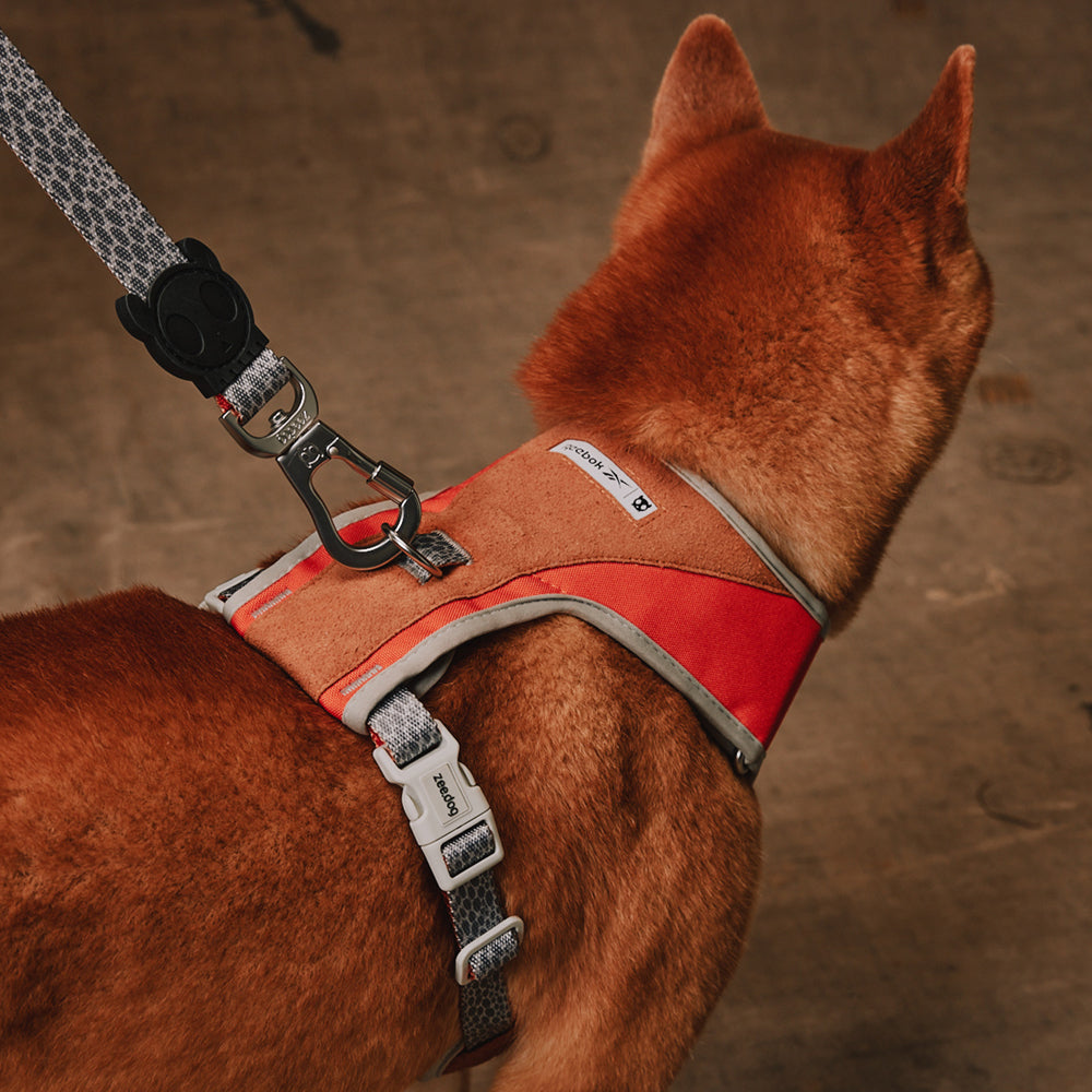 Reebok Suede Adjustable Air Mesh Harness