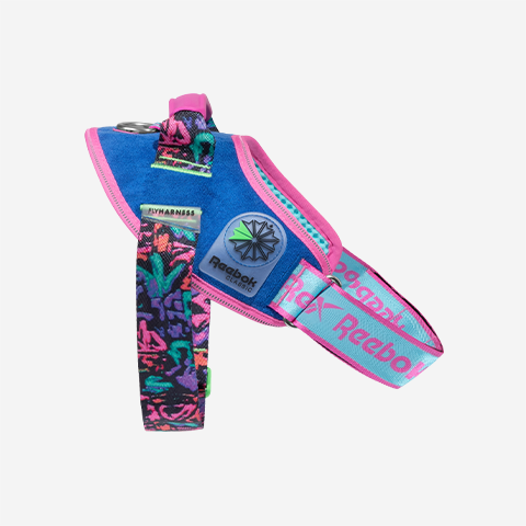 Reebok Aerobic Flyharness