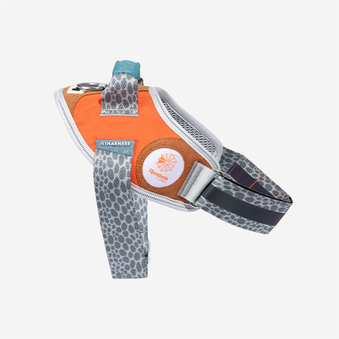 Reebok Suede Flyharness