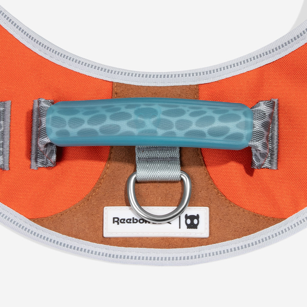 Reebok Suede Flyharness