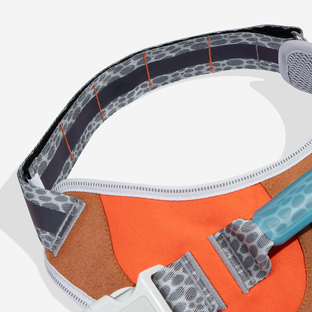 Reebok Suede Flyharness
