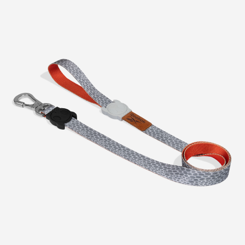 Reebok Suede Leash
