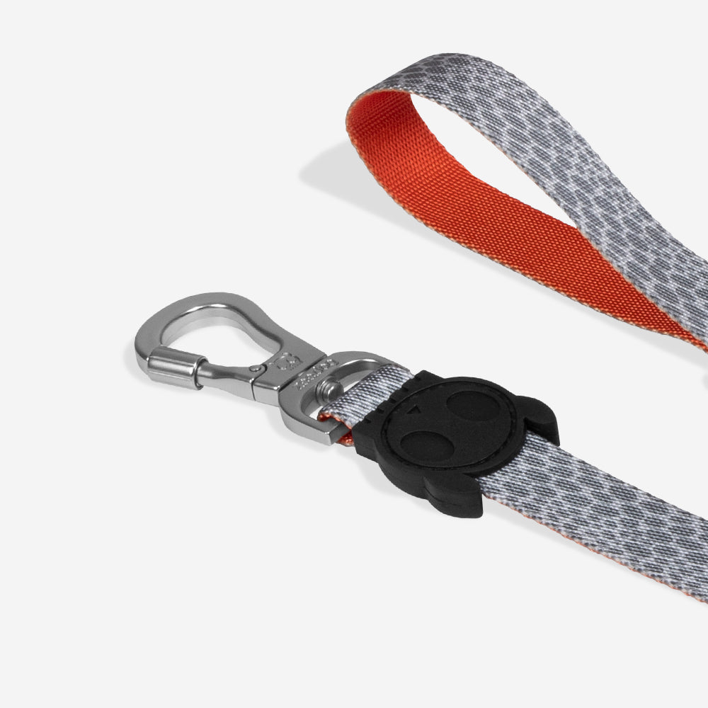 Reebok Suede Leash