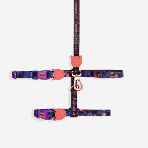 Reebok Court Harness + Leash Set