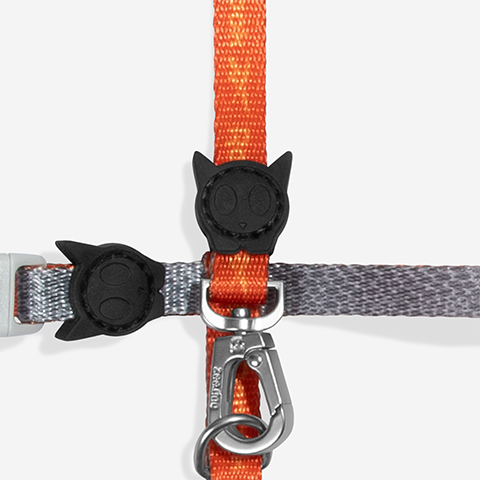 Reebok Suede Harness + Leash Set