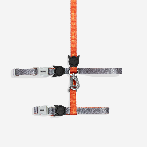 Reebok Suede Harness + Leash Set