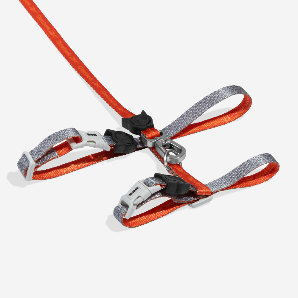 Reebok Suede Harness + Leash Set