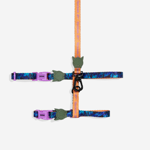 Reebok Trekk Harness + Leash Set