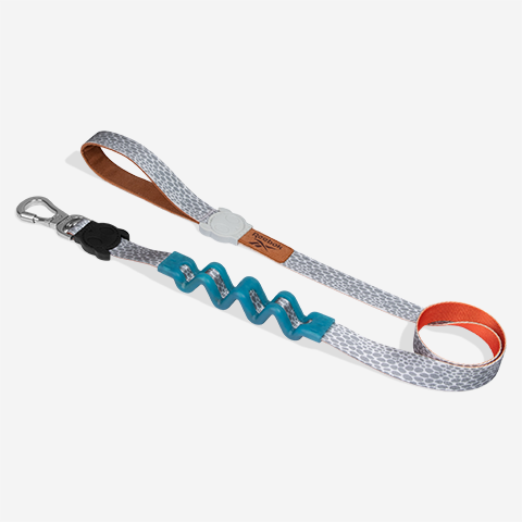 Reebok Suede Ruff Leash