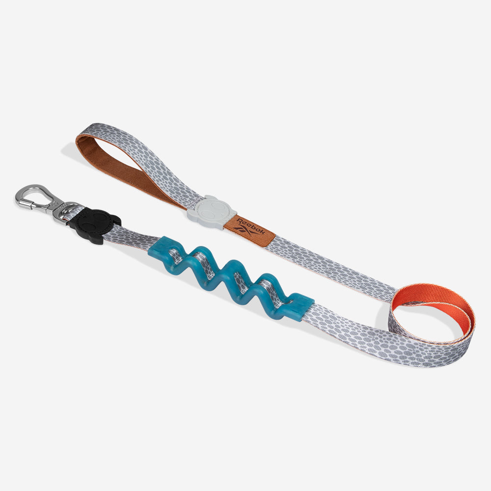 Reebok Suede Ruff Leash