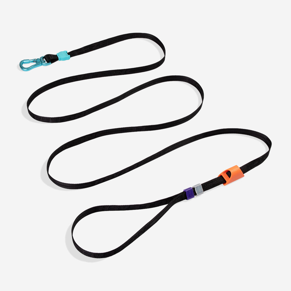 LONG LEASH SEGUNDO