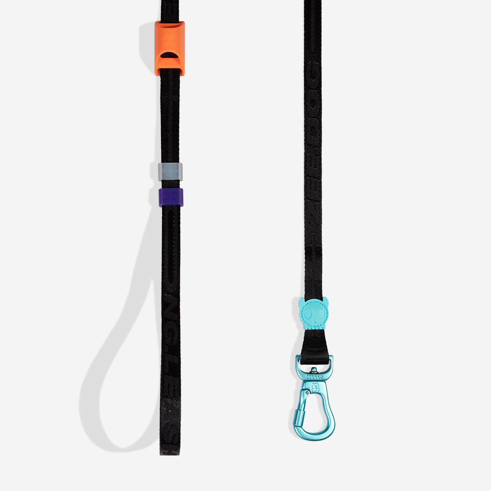 LONG LEASH SEGUNDO